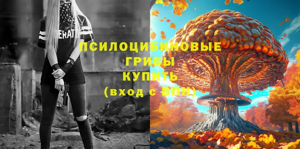 apvp Баксан