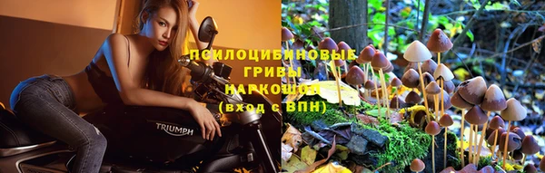 spice Балабаново