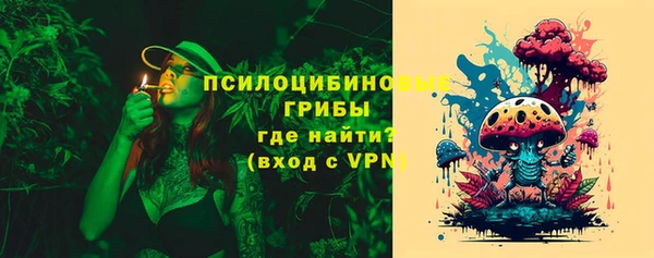 мескалин Арсеньев