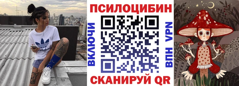 Галлюциногенные грибы Psilocybe  купить наркотик  Ногинск 